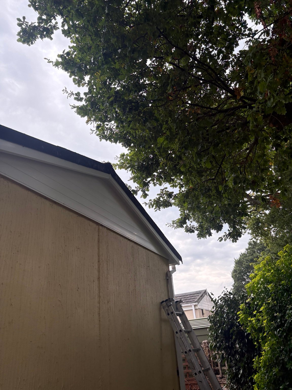 Park home roofline