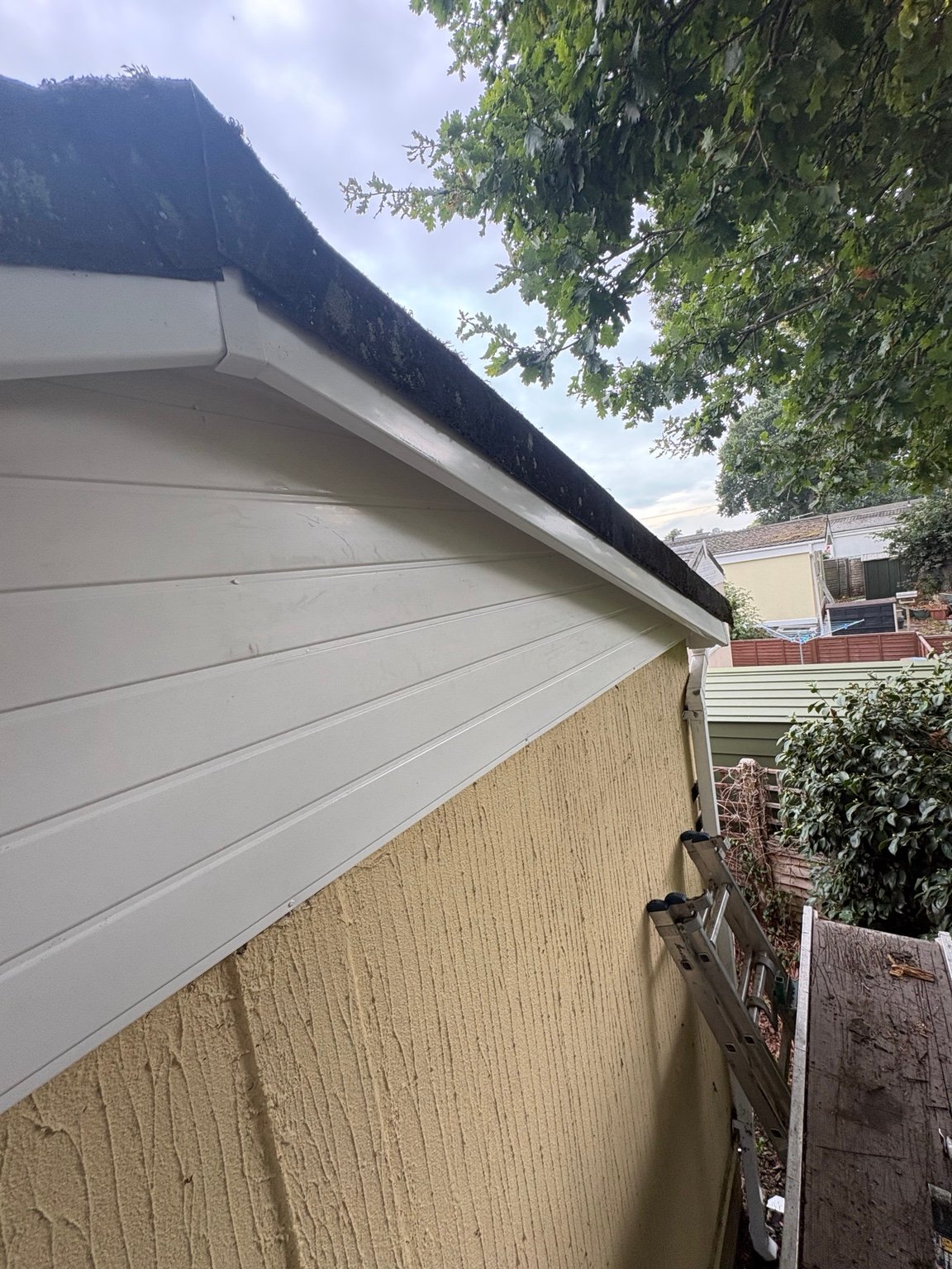 Fascia along the roofline